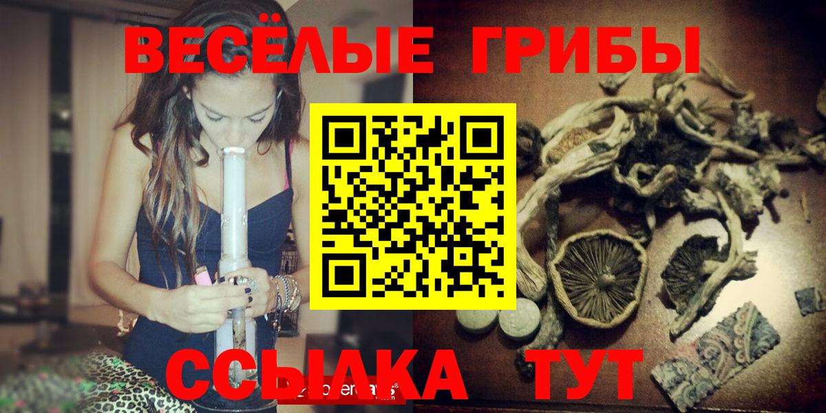 Галлюциногенные грибы GOLDEN TEACHER Минусинск