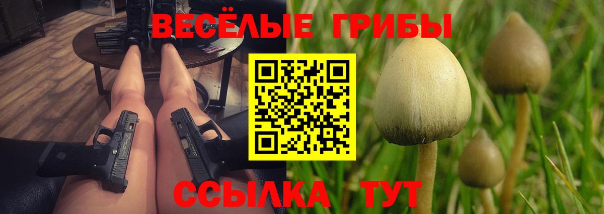 Псилоцибиновые грибы GOLDEN TEACHER  Вход с VPN  Минусинск 